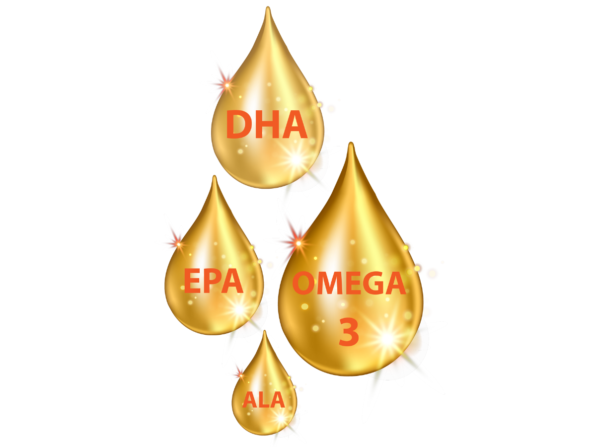 Omega 3 là gì