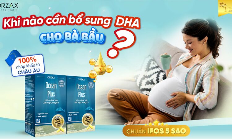 KHI NÀO CẦN BỔ SUNG DHA CHO BÀ BẦU