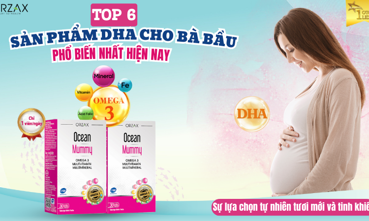 Top 6 sản phẩm DHA cho bà bầu phổ biến nhất hiện nay